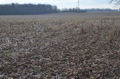 Property photo 8 - 98+/- Acres Offered in 6 Tracts or Combinations, Noble County, Indiana Farm